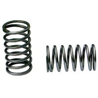 Inlet Spring